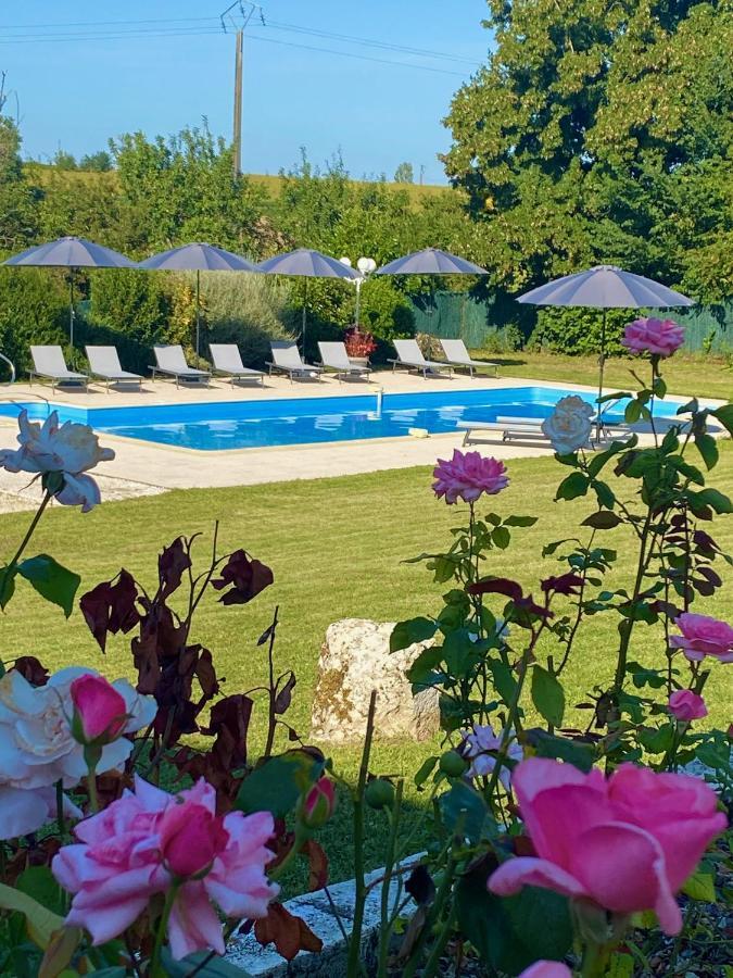 Le Petit Bleu Chambre D'Hotes Bourg-de-Visa Bagian luar foto